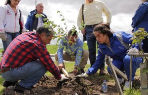 Nuevos arboles para el municipio de Soacha