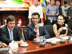 Más de $12.200 millones para impulsar renovación del sector cafetero en Cundinamarca