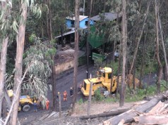 Capturadas dos personas en operativo en Lenguazaque