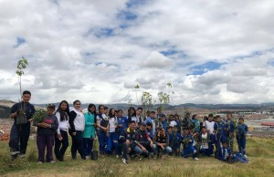Siembra masiva de arboles en el municipio de Soacha