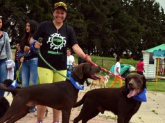 Inversión de $598 millones en programa de bienestar ‘Cundinamarca consiente a sus mascotas’