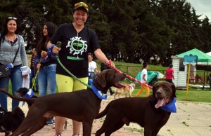 Inversión de $598 millones en programa de bienestar ‘Cundinamarca consiente a sus mascotas’
