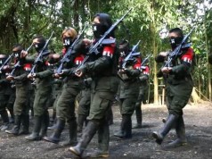 Según el ELN, firma del cese el fuego bilateral queda en manos de Duque