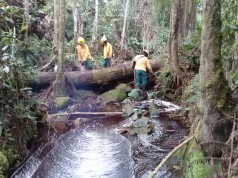 Trabajos de prevención en provincia del Tequendama para prevenir incidentes por lluvias