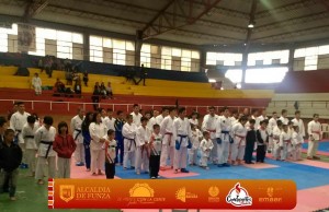 Tercera copa de Kárate do Cundeportes en Funza