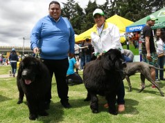 Festival de Cuatro Patas se llevó a cabo en el municipio de Mosquera