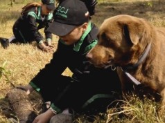 Chía cuenta con 250 árboles más