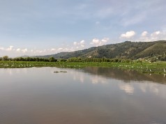 Mortandad de peces en Fúquene no corresponde a operación de maquinaria de la CAR
