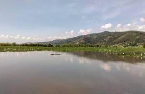 Mortandad de peces en Fúquene no corresponde a operación de maquinaria de la CAR