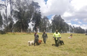 Captura por el delito de Maltrato Animal en el municipio de Mosquera
