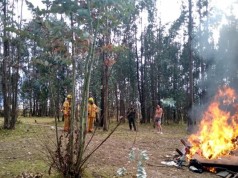 Controlados incendios forestales en 28 municipios en esta temporada seca
