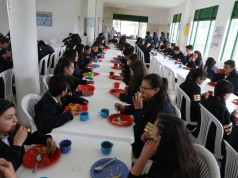 Elegidos los operadores para ejecutar Programa de Alimentación Escolar en Cundinamarca
