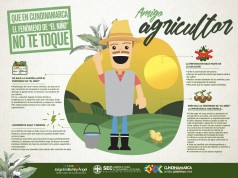 Agricultores de Cundinamarca deberán adoptar medidas por Fenómeno de “El Niño”