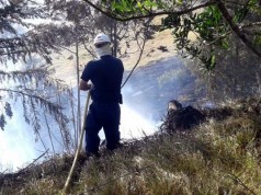 Alerta naranja por incendios y deslizamientos de tierra en Cundinamarca