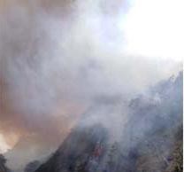 Ejército y Ponalsar atienden incendio forestal en Quetame