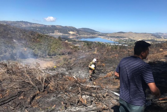 Mayor control y vigilancia para prevenir incendios forestales en Cundinamarca