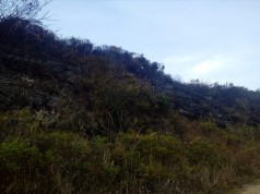 Unidad de Gestión del Riesgo atiende incendios en diferentes puntos de Cundinamarca