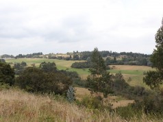 La alcaldía de Chía adquirió más de 33 hectáreas de terrenos para su conservación ambiental