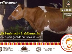 Oportuna reacción de la Policía de Funza evita el robo de ganado