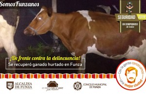 Oportuna reacción de la Policía de Funza evita el robo de ganado