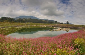 Más de $53.000 millones ha invertido de la Gobernación de Cundinamarca en Facatativá