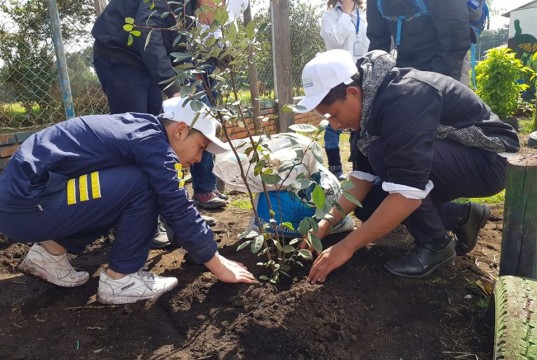 Jornada de plantación y siembra en celebración del Día del árbol