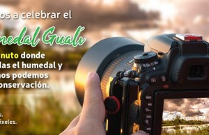 En celebración del día del humedal Gualí, se organiza concurso para amantes del arte audiovisual