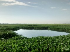 Capturas en Mosquera por contaminación ambiental