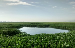Capturas en Mosquera por contaminación ambiental
