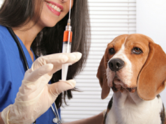 Jornada de vacunación y desparasitación de mascotas en Funza