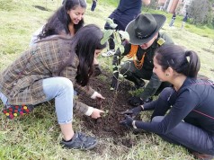 Siembra de árboles en el municipio de Mosquera