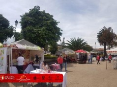 Con gran éxito se llevó a cabo la segunda versión de la Feria Gastronómica de Funza