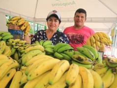 Mercados Campesinos en Bogotá y Cundinamarca