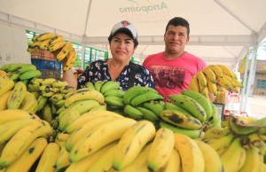 Mercados Campesinos en Bogotá y Cundinamarca