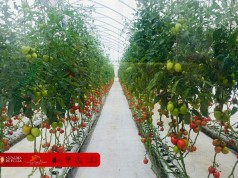 Por una Funza rural y competitiva