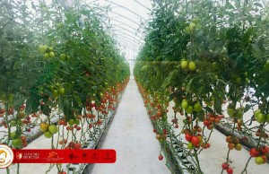 Por una Funza rural y competitiva