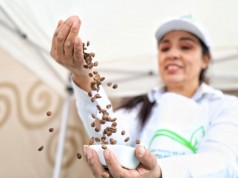 Agrovitrina, la estrategia para eliminar intermediarios y mostrar lo mejor del campo cundinamarqués