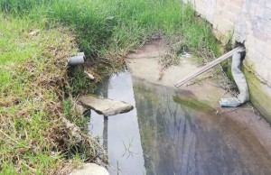 Continúan seguimientos a humedales por posibles afectaciones