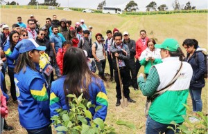 Más de 2000 árboles sembrados en el municipio de Chía