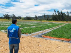 Con la PTAR de Susa, la Laguna de Fúquene seguirá recuperándose