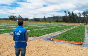 Con la PTAR de Susa, la Laguna de Fúquene seguirá recuperándose