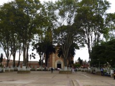 Importantes ofertas de empleo en el municipio de Mosquera