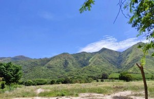 En dos años estará listo el primer Jardín Botánico de Cundinamarca