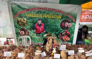 Cundinamarca y Perú unidos para la producción y mejoramiento en cultivos de papa