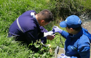 Detectan vertimientos irregulares al humedal Gualí en Funza