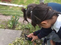 En tiempo real agricultores y estudiantes ahora podrán consultar indicadores ambientales en Madrid
