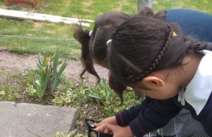 En tiempo real agricultores y estudiantes ahora podrán consultar indicadores ambientales en Madrid