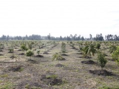 Nuevas áreas de protección ambiental en el municipio de Mosquera