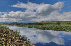 Cundinamarca, referente nacional en innovación y propuestas sostenibles