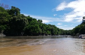 Gremios debatirán sobre la recuperación del Río Bogotá